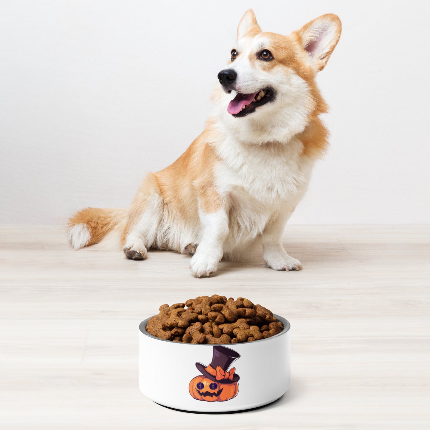 Pet bowl PUMPKIN HAT